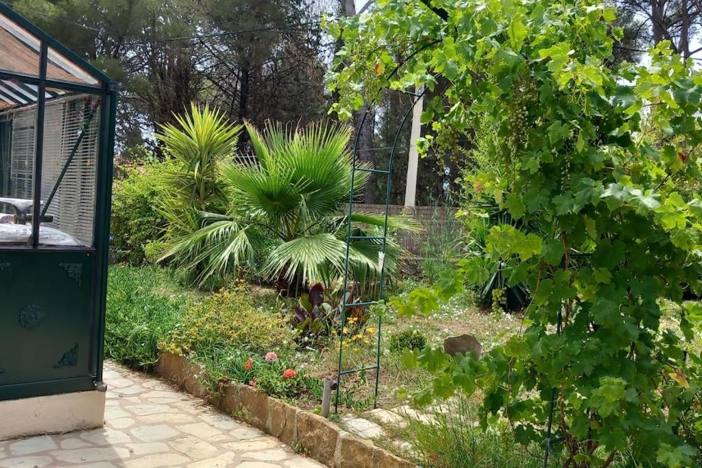 Villa Magali Grande Terrasse Vue Mer, Jardin, Proche Port La Ciotat Exteriér fotografie