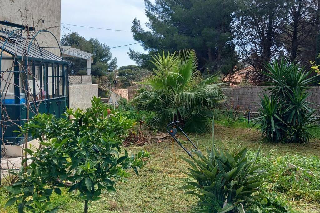 Villa Magali Grande Terrasse Vue Mer, Jardin, Proche Port La Ciotat Exteriér fotografie